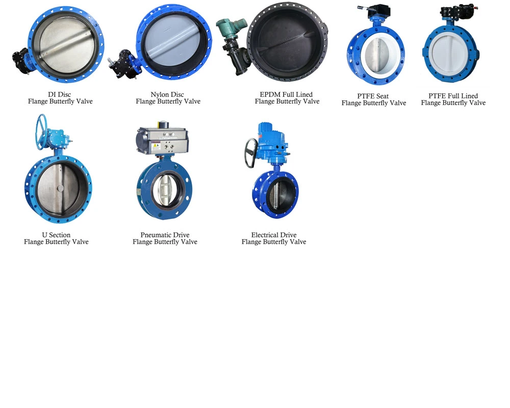 Ductile Iron Resilient Seated Wafer/Lug Type Butterfly Valve