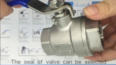 Válvula de retenção flutuante industrial/sanitária NPT/BSPT/Bsp de aço inoxidável CF8/CF8m DN15/filtro/válvula globo/válvula esférica